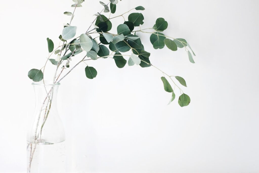 Photo Minimalist gaya hidup deko hartanah: inspirasi untuk ruang hidup anda Gaya Hidup Deko Hartanah: Inspirasi untuk Ruang Hidup Anda image 91 1024x683